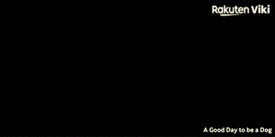 Cha Eun Woo Kdrama Couple GIF by Viki