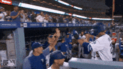 hi5 GIF by MLB