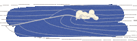 Summer Sea Sticker by Luisa Misseri