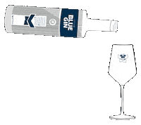 Reisetbauer Sloeberrybluegin Sticker by BLUE GIN
