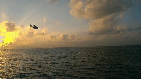 seaplane landing in the maldives GIF