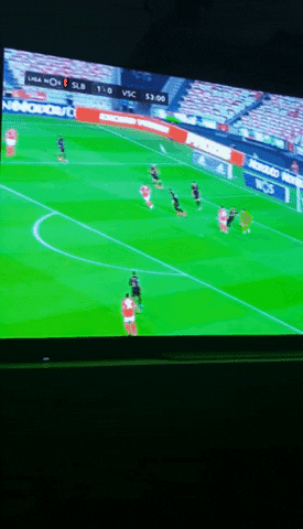 joaoalmodovar giphygifmaker giphygifmakermobile benfica GIF