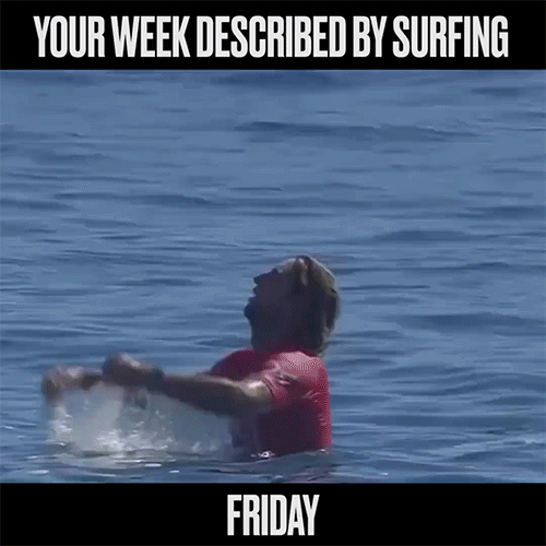 water sports surfing GIF by World Surf League