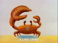 ren and stimpy nicksplat GIF