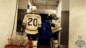 ice hockey hug GIF by NHL