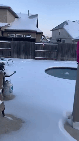 Texas Resident Documents Snowfall Near San Antonio
