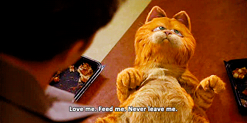 cat garfield GIF