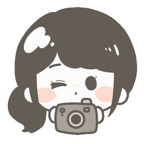 Girl Photographer Sticker