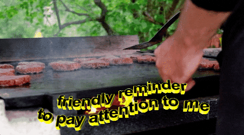 bbq pay attention GIF by glitter