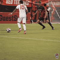 Goal Reaction GIF by NC State Athletics