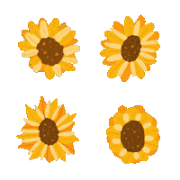 wendzkiee summer flower flowers yellow Sticker
