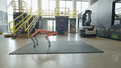 Robot Spot GIF by BostonDynamics