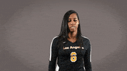 LAGoldenEagles volleyball calstatela csula lagoldeneagles GIF
