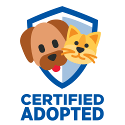 Cat Dog Sticker by Hill's Pet Nutrition