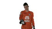 Robin Goalkeeper Sticker by Heracles Almelo
