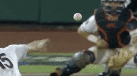 Baseball College GIF by NCAA Championships