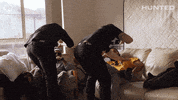 Huntedau GIF by Hunted Australia