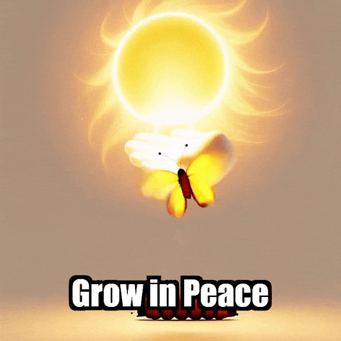 Inner Peace Transformation GIF by Bloomscroll