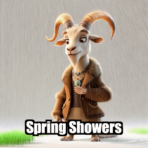 GIF by Radiantelope
