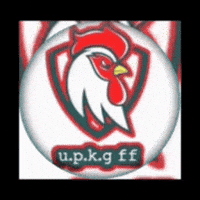 upkgff upkg ff upkgff tauseef ansari tauseefansari GIF