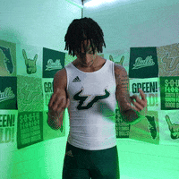 South Florida Horns Up GIF by USF Athletics