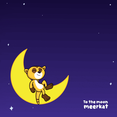 To The Moon Fireworks GIF by VeeFriends