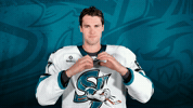 San Jose Love GIF by San Jose Barracuda