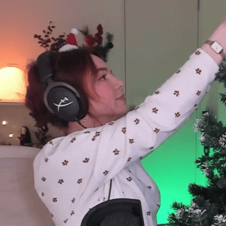 Merry Christmas What GIF