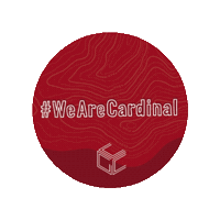 Core Values Sticker by Cardinal Group Management