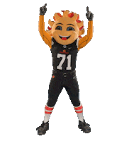 FiestaBowl football party yes celebrate Sticker