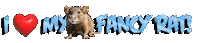 Guinea Pig Love Sticker