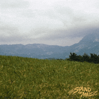 Julie Andrews Musicals GIF by Rodgers & Hammerstein