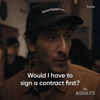 Fx Networks Hulu GIF by Adults