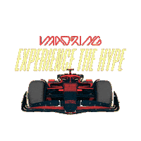 Race F1 Sticker by MADRING