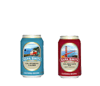 Beer Cheers Sticker by Alyse Rothenberger