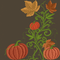 Pumpkin Patch Halloween GIF