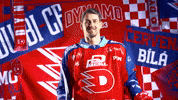 Tomas Dvorak GIF by HC Dynamo Pardubice