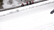 GIF by bogus basin