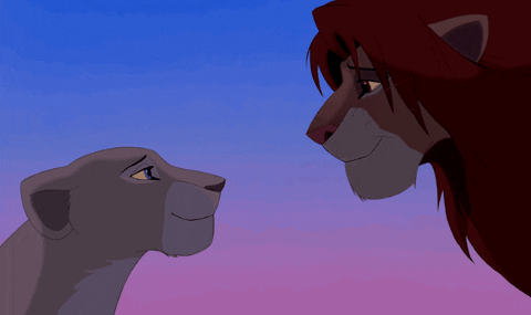 the lion king love GIF by Disney