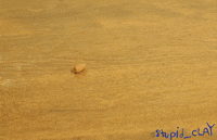 stupid_clay animation loop monster fish GIF