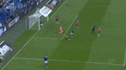 Football Soccer GIF by FC Schalke 04