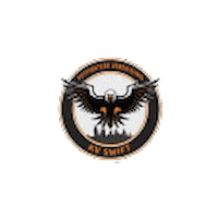 kvswift giphyupload eagles swift korfbal Sticker