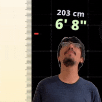 6' 8"
