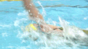 GIF by Michigan Athletics