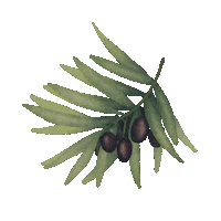 Art Illustration Sticker