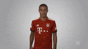 fc bayern football GIF by Bundesliga