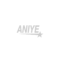 Aniyelogo Sticker by Aniye By