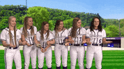 Warriors Softball GIF by WinonaStateATH