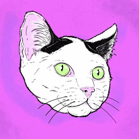 BobMotown giphyupload cat cool illustration GIF