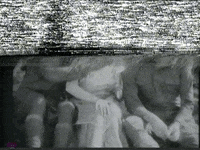 perlasardella glitch black and white vhs gif artist GIF